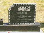 GENADE Etienne 1954-2006