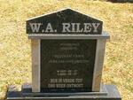 RILEY W.A. 1937-2004
