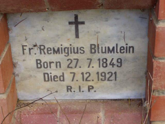 BLUMLEIN Remigius 1849-1921