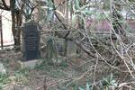 Tombstones buried under the branches