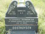 OOSTHUYSEN Corneluis A.G. 1907-1966
