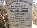 ZIETSMAN William James -1918