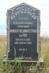 TOIT Arnold Tielmon Petrus, du 1853-1934