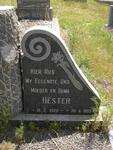 ? Hester 1920-1993