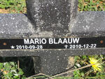 BLAAUW Mario 2010-2010