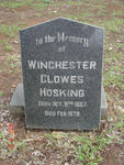 HOSKING Winchester Clowes 1867-1879