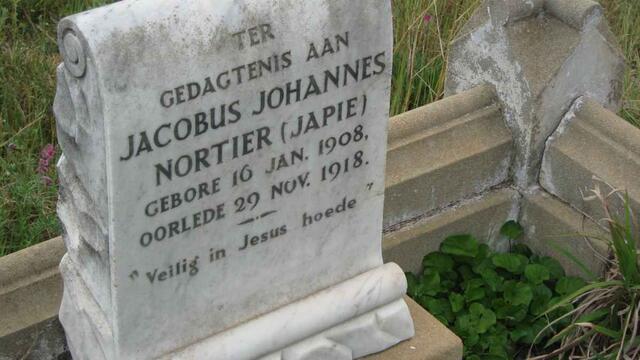 NORTIER Jacobus Johannes 1908-1918