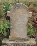 Mpumalanga, MIDDELBURG district, Nooitgedacht 208 JC, farm cemetery