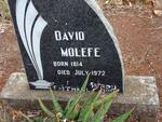 MOLEFE David 1814-1972