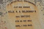 GELDENHUYS Helie A.A. COETZEE 1885-1943
