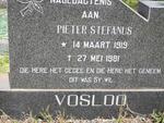 VOSLOO Pieter Stefanus 1919-1981