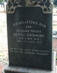 ? Hester Catharina 1872-1957