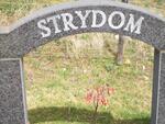 STRYDOM Okker 1893-1970 & Lottie 1897-1975