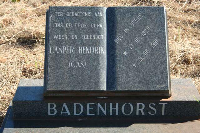 BADENHORST Casper Hendrik 1929-1991