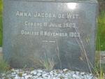 WET Anna Jacoba, de 1903-1908