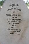 ELLINGWORTH Elizabeth nee RUGG -1905 :: ELLINGWORTH Bessie 