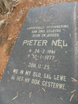 NEL Pieter 1961-1977