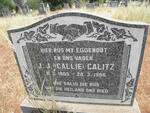CALITZ J.J. 1905-1966