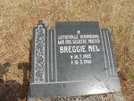 NEL Breggie 1903-1966