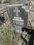 MANGANI David 1904-1993