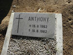 ? Anthony 1962-1962