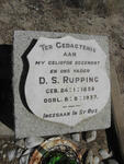 RUPPING D.S. 1858-1937