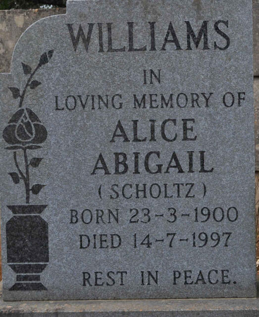 WILLIAMS Alice Abigail nee SCHOLTZ 1900-1997