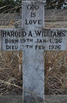 WILLIAMS Harold A. 1926-1926