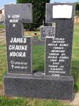 NDORA James Chauke 1933-2000