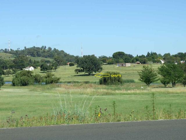 2. Cemetery from the R57