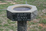 ? Jenny 1955-1980