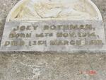 ROTHMAN Joey 1914-1917