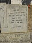 JOOSTE Johanna Elizabeth nee DU TOIT 1890-1950