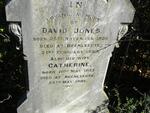 JONES David 1830-1883 & Catharine 18412-1881