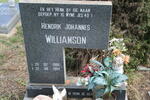 WILLIAMSON Hendrik Johannes 1986-1994
