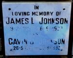 JOHNSON James L. 1911-1987 :: JOHNSON Gavin J. 1947-1992
