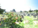Western Cape, KNYSNA, Fishers Haven, Vigilance Drive, Hunters Home cemetery