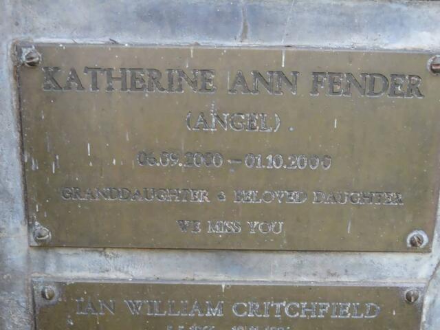 FENDER Katherine Ann 2000-2000