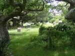 Eastern Cape, PORT ALFRED, West Bank, cemetery