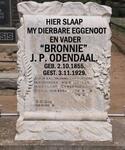 ODENDAAL J.P. 1855-1929