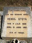 STEYN Hensil 1886-1967