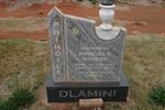 DLAMINI Phindile Priscilla Sithebe 1963-2007