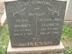 PLESSIS Pieter Johannes, du 1885-1964 & Hester Anna Elizabeth 1880-1966