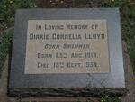 LLOYD Dirkie Cornelia nee SWEMMER 1913-1950