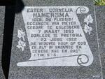 HAMERSMA Ester Cornelia nee DU PLESSIS 1893-1982