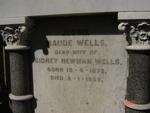 WELLS John Wesley 1841-1890