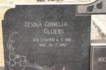 CILLIERS Gesina Cornelia geb VENTER 1906-1962