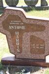 HARRIS Antonie 1965-1999