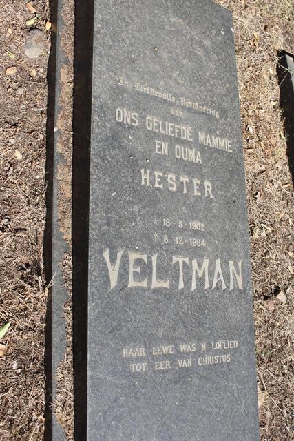 VELTMAN Hester 1902-1984