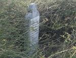 Free State, REITZ district, Steyldrif 1034, farm cemetery